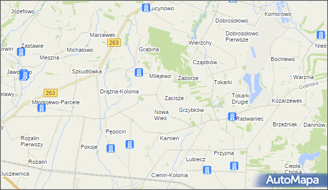 mapa Zacisze gmina Słupca, Zacisze gmina Słupca na mapie Targeo