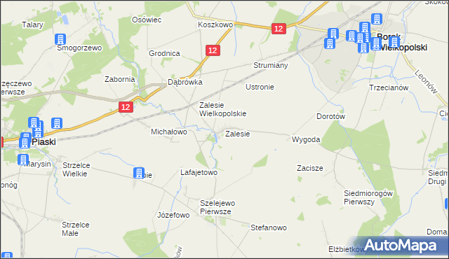mapa Zalesie gmina Borek Wielkopolski, Zalesie gmina Borek Wielkopolski na mapie Targeo