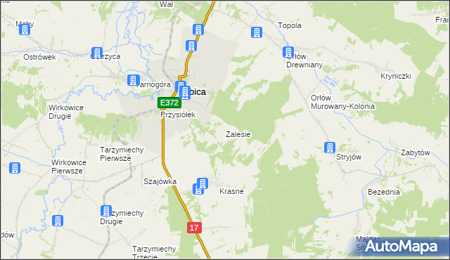 mapa Zalesie gmina Izbica, Zalesie gmina Izbica na mapie Targeo