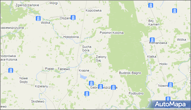 mapa Zielony Gaj gmina Janów, Zielony Gaj gmina Janów na mapie Targeo