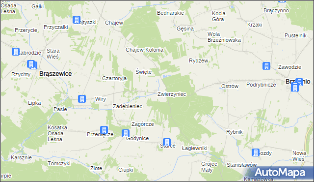 mapa Zwierzyniec gmina Brąszewice, Zwierzyniec gmina Brąszewice na mapie Targeo