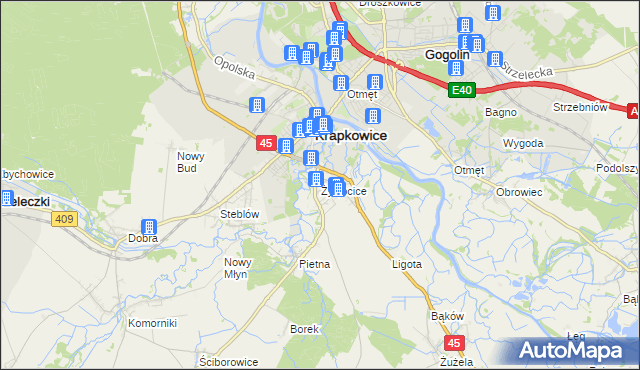 mapa Żywocice, Żywocice na mapie Targeo