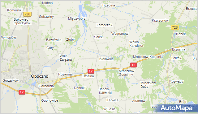 mapa Bielowice gmina Opoczno, Bielowice gmina Opoczno na mapie Targeo