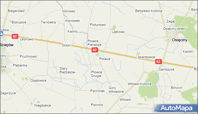 mapa Płowce gmina Radziejów, Płowce gmina Radziejów na mapie Targeo