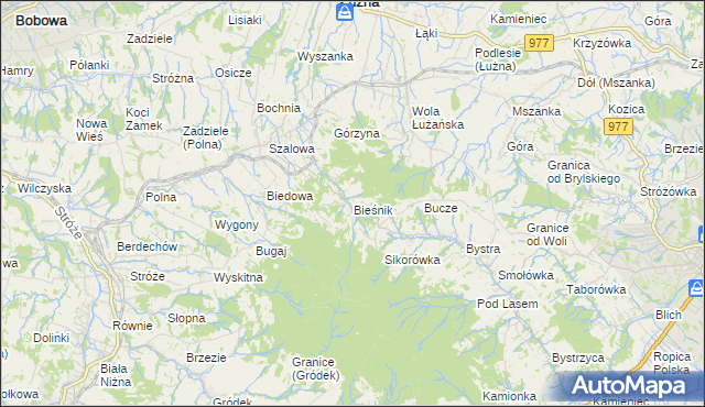 mapa Bieśnik gmina Łużna, Bieśnik gmina Łużna na mapie Targeo