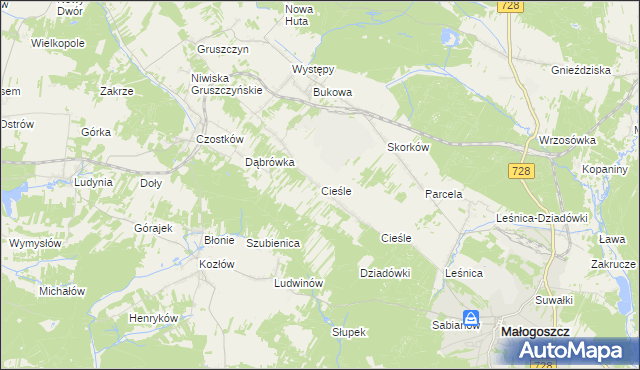 mapa Cieśle gmina Krasocin, Cieśle gmina Krasocin na mapie Targeo