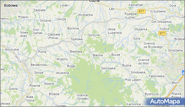 mapa Bieśnik gmina Łużna, Bieśnik gmina Łużna na mapie Targeo