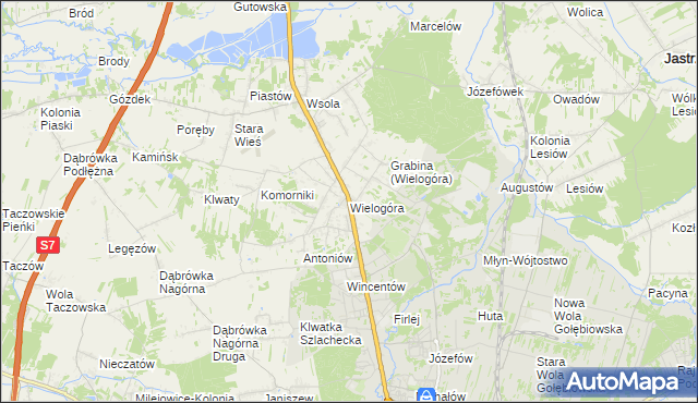 mapa Wielogóra gmina Jedlińsk, Wielogóra gmina Jedlińsk na mapie Targeo