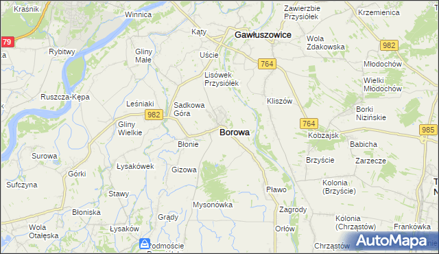mapa Borowa powiat mielecki, Borowa powiat mielecki na mapie Targeo