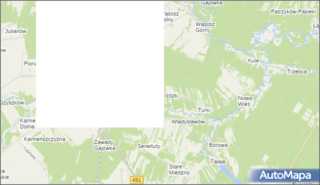 mapa Brzózki gmina Popów, Brzózki gmina Popów na mapie Targeo