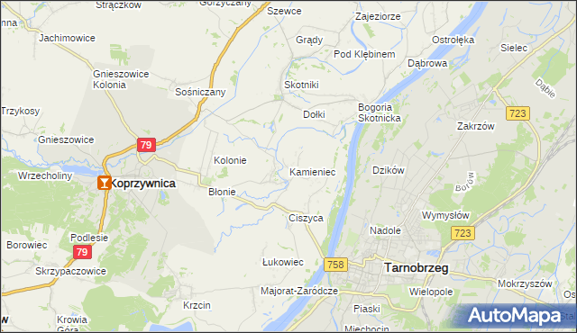 mapa Kamieniec gmina Koprzywnica, Kamieniec gmina Koprzywnica na mapie Targeo