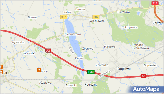mapa Zborowo, Zborowo na mapie Targeo