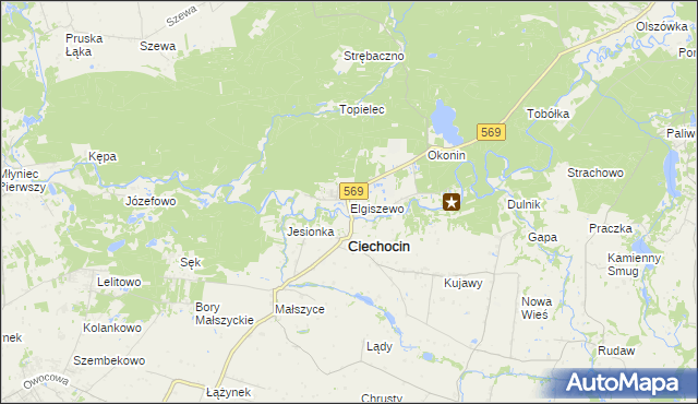 mapa Elgiszewo, Elgiszewo na mapie Targeo