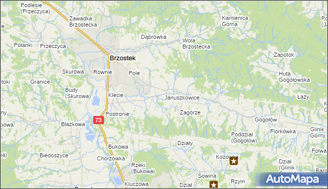 mapa Januszkowice gmina Brzostek, Januszkowice gmina Brzostek na mapie Targeo
