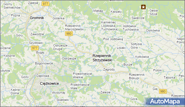 mapa Rzepiennik Strzyżewski, Rzepiennik Strzyżewski na mapie Targeo