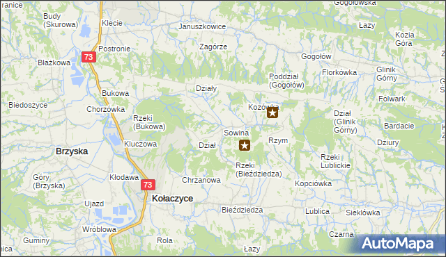 mapa Sowina gmina Kołaczyce, Sowina gmina Kołaczyce na mapie Targeo