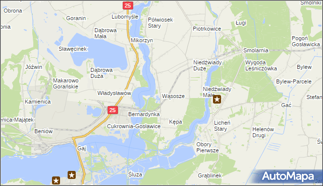 mapa Wąsosze gmina Ślesin, Wąsosze gmina Ślesin na mapie Targeo