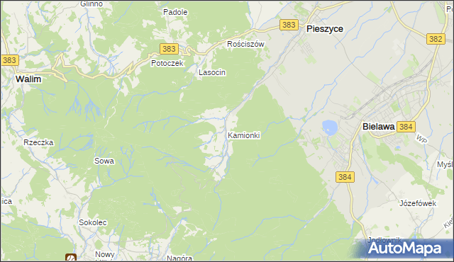 mapa Kamionki gmina Pieszyce, Kamionki gmina Pieszyce na mapie Targeo