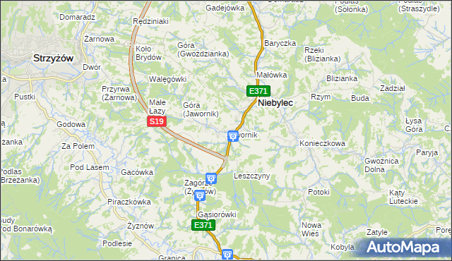 mapa Jawornik gmina Niebylec, Jawornik gmina Niebylec na mapie Targeo