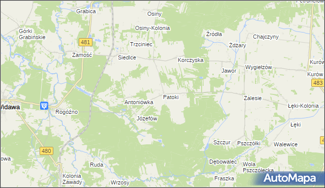 mapa Patoki gmina Widawa, Patoki gmina Widawa na mapie Targeo