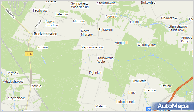 mapa Tarnowska Wola gmina Lubochnia, Tarnowska Wola gmina Lubochnia na mapie Targeo