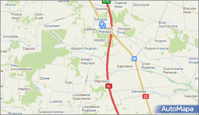mapa Wodzinek gmina Tuszyn, Wodzinek gmina Tuszyn na mapie Targeo