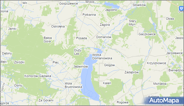 mapa Wólka Domaniowska, Wólka Domaniowska na mapie Targeo