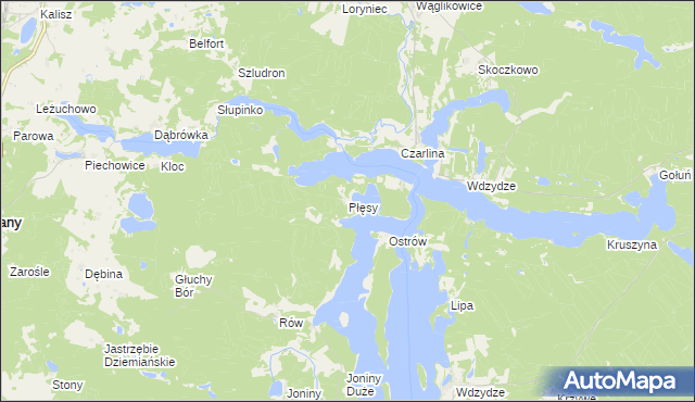 mapa Płęsy, Płęsy na mapie Targeo