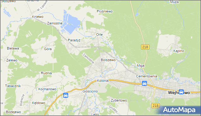 mapa Bolszewo, Bolszewo na mapie Targeo