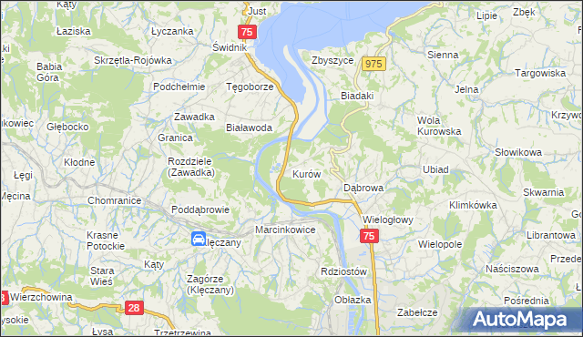 mapa Kurów gmina Chełmiec, Kurów gmina Chełmiec na mapie Targeo