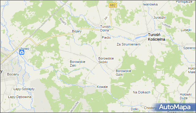 mapa Borowskie Skórki, Borowskie Skórki na mapie Targeo