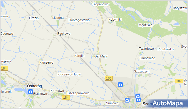 mapa Gaj Mały gmina Obrzycko, Gaj Mały gmina Obrzycko na mapie Targeo