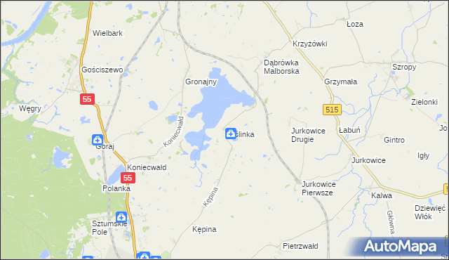 mapa Koślinka gmina Sztum, Koślinka gmina Sztum na mapie Targeo