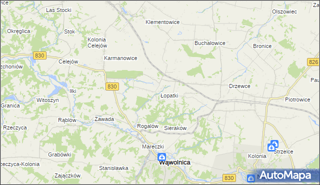 mapa Łopatki gmina Wąwolnica, Łopatki gmina Wąwolnica na mapie Targeo