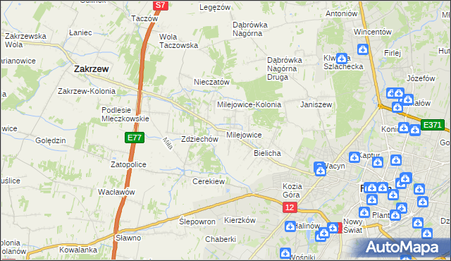mapa Milejowice gmina Zakrzew, Milejowice gmina Zakrzew na mapie Targeo