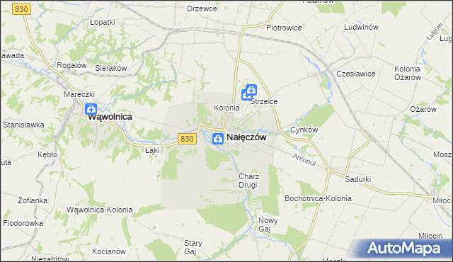 mapa Nałęczów powiat puławski, Nałęczów powiat puławski na mapie Targeo
