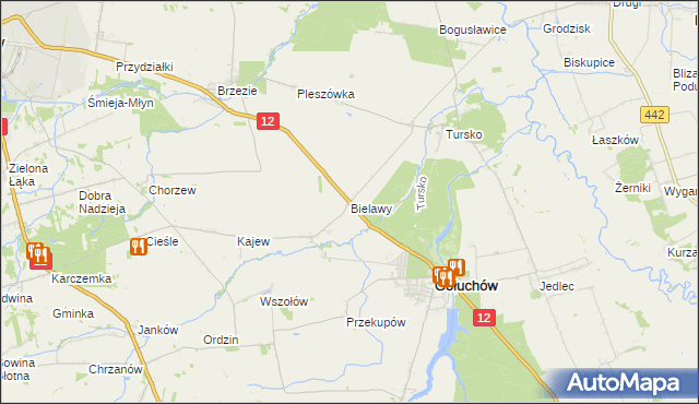 mapa Bielawy gmina Gołuchów, Bielawy gmina Gołuchów na mapie Targeo