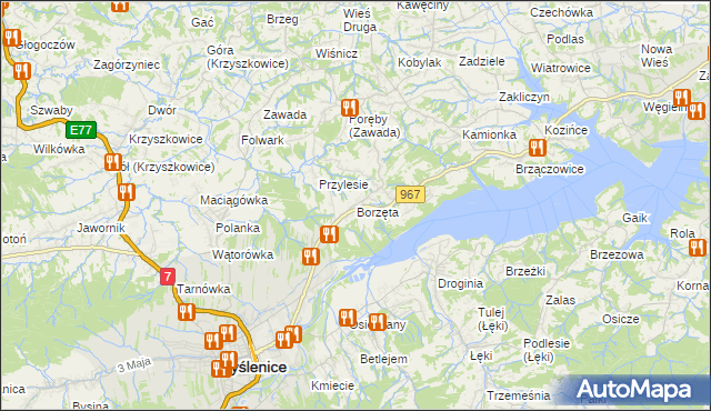 mapa Borzęta, Borzęta na mapie Targeo