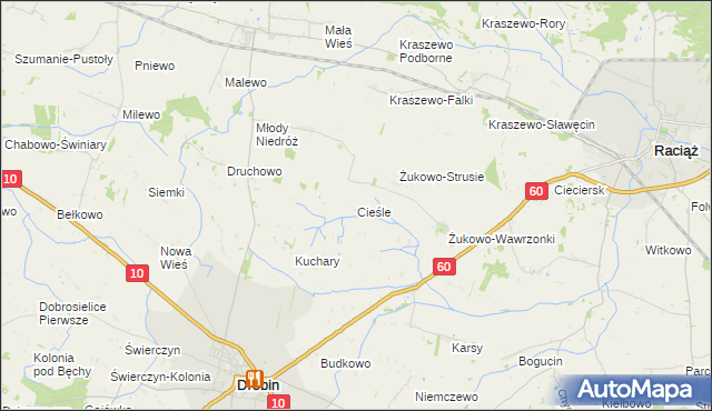 mapa Cieśle gmina Drobin, Cieśle gmina Drobin na mapie Targeo