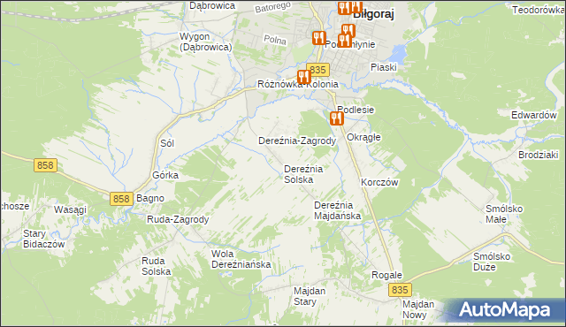 mapa Dereźnia Solska, Dereźnia Solska na mapie Targeo