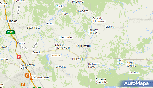mapa Dzikowiec powiat kolbuszowski, Dzikowiec powiat kolbuszowski na mapie Targeo