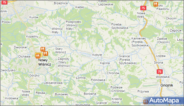 mapa Kobyle gmina Nowy Wiśnicz, Kobyle gmina Nowy Wiśnicz na mapie Targeo