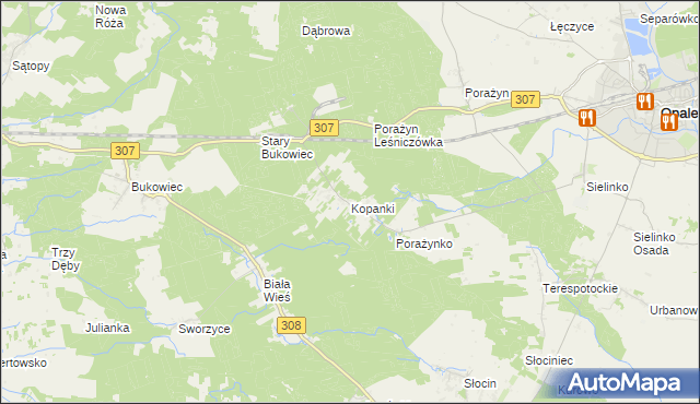 mapa Kopanki gmina Opalenica, Kopanki gmina Opalenica na mapie Targeo