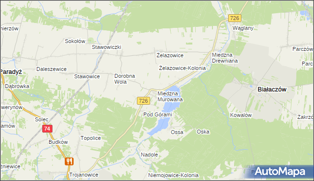 mapa Miedzna Murowana, Miedzna Murowana na mapie Targeo