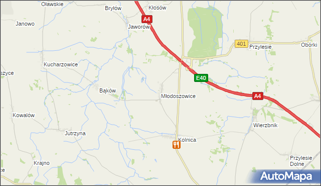 mapa Młodoszowice, Młodoszowice na mapie Targeo