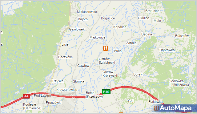 mapa Ostrów Szlachecki, Ostrów Szlachecki na mapie Targeo
