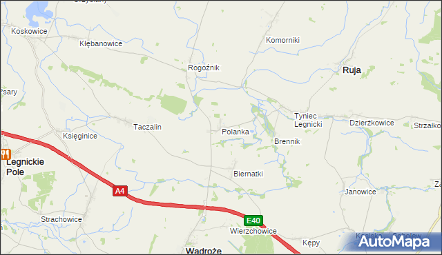 mapa Polanka gmina Ruja, Polanka gmina Ruja na mapie Targeo