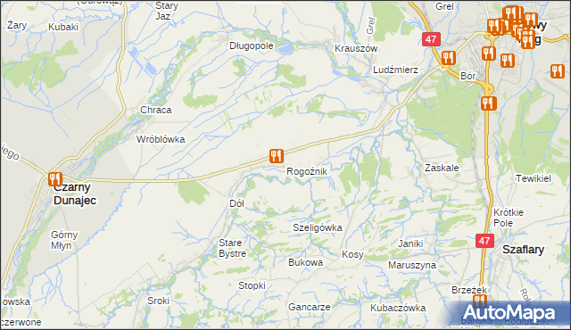 mapa Rogoźnik gmina Nowy Targ, Rogoźnik gmina Nowy Targ na mapie Targeo