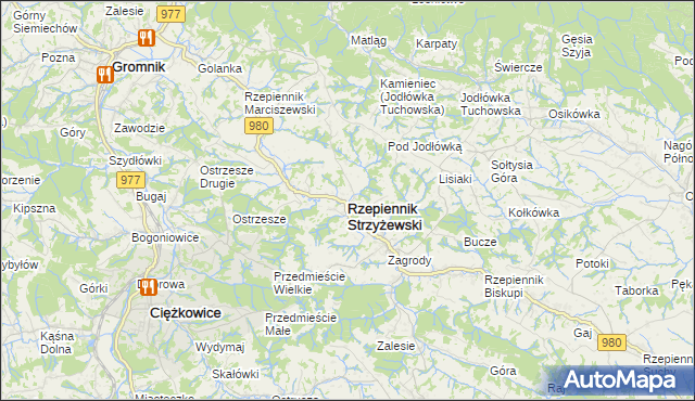 mapa Rzepiennik Strzyżewski, Rzepiennik Strzyżewski na mapie Targeo