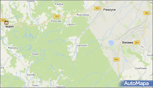 mapa Kamionki gmina Pieszyce, Kamionki gmina Pieszyce na mapie Targeo